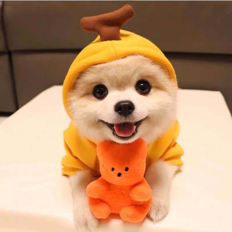 Cute Fruit Dog Hoodie Winter Warm Fleece Pet Clothes for Small Dogs