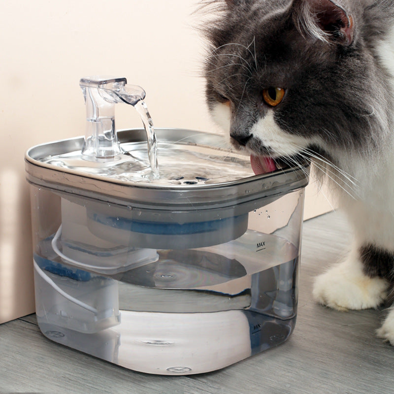 Stainless Steel Pet Water Fountain Automatic Circulation 2L Dispenser