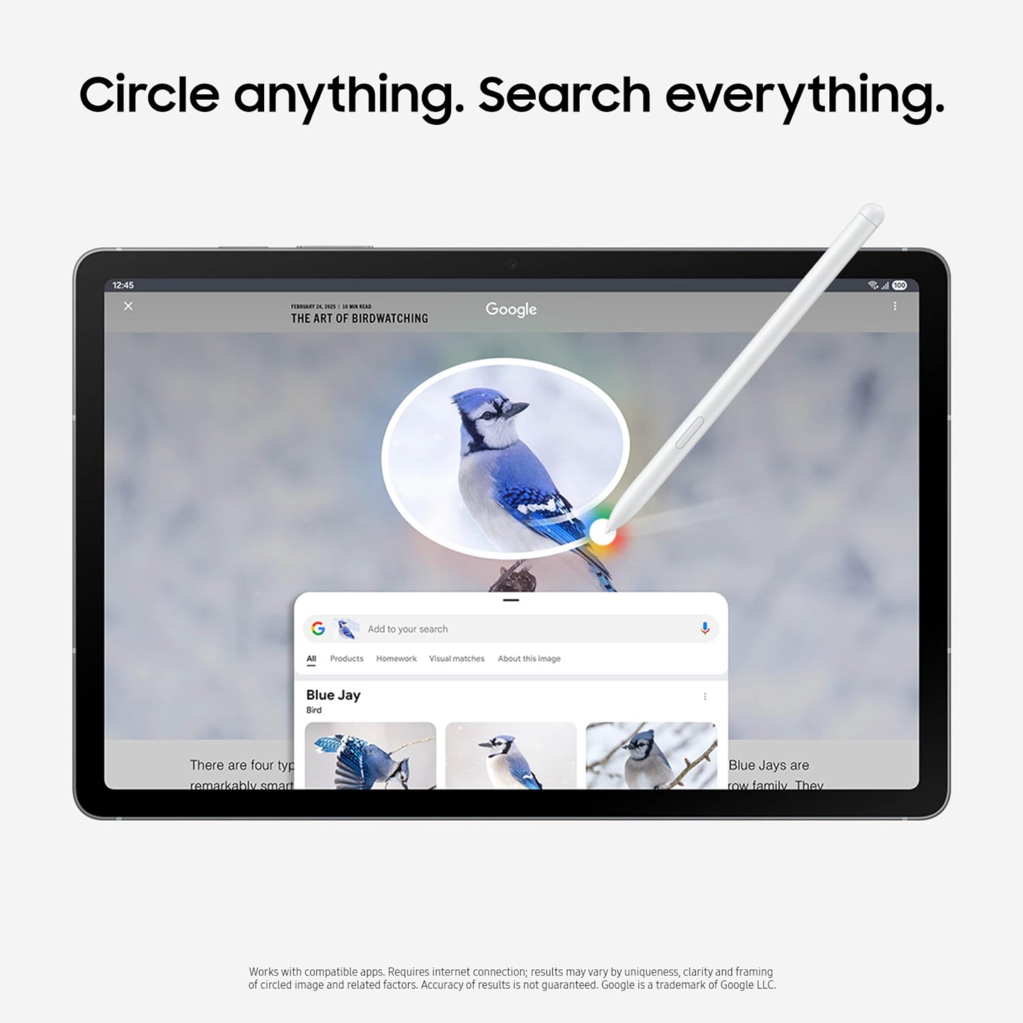 삼성 갤럭시 탭 S10 FE 128GB WiFi 10.9인치 블루 미국 버전