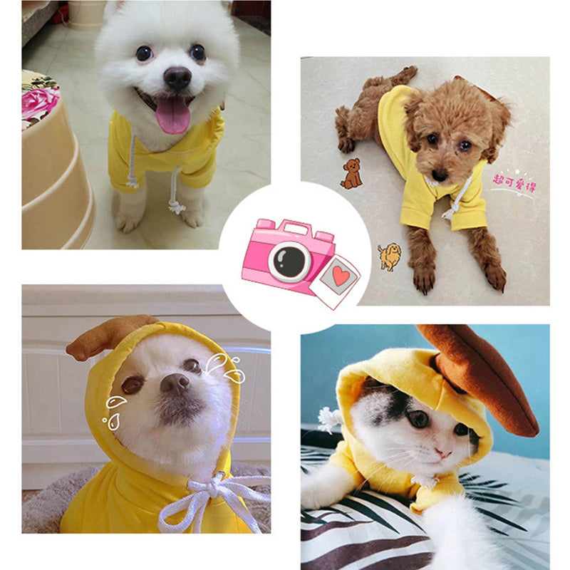 Cute Fruit Dog Hoodie Winter Warm Fleece Pet Clothes for Small Dogs