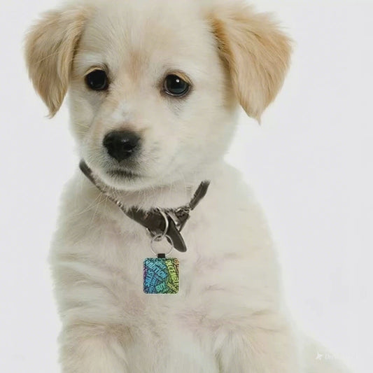 Square Pet ID Tag PU Leather Custom Dog Cat Name Tag